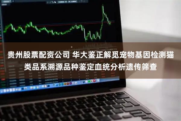 贵州股票配资公司 华大鉴正解觅宠物基因检测猫类品系溯源品种鉴定血统分析遗传筛查