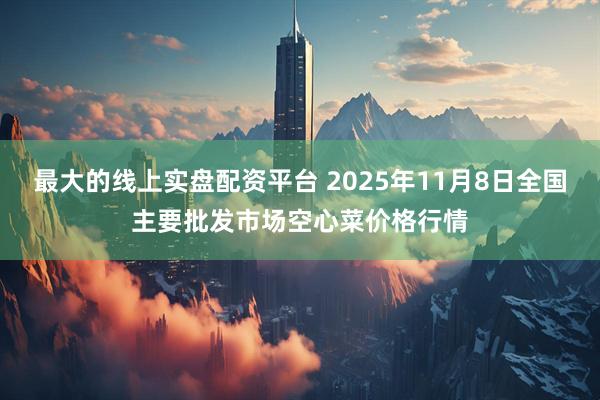 最大的线上实盘配资平台 2025年11月8日全国主要批发市场空心菜价格行情